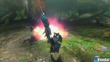 Imagen 81 de Monster Hunter 3 Ultimate