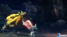 Imagen 83 de Monster Hunter 3 Ultimate