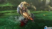 Imagen 105 de Monster Hunter 3 Ultimate