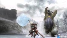 Imagen 107 de Monster Hunter 3 Ultimate