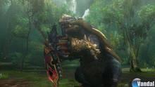 Imagen 91 de Monster Hunter 3 Ultimate