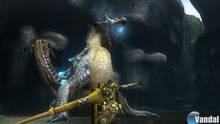 Imagen 98 de Monster Hunter 3 Ultimate