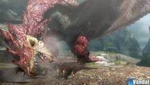 Imagen 29 de Monster Hunter 3 Ultimate