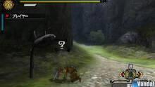 Imagen 48 de Monster Hunter 3 Ultimate