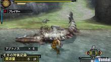 Imagen 51 de Monster Hunter 3 Ultimate