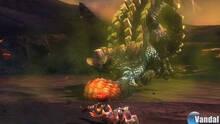 Imagen 112 de Monster Hunter 3 Ultimate