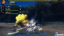 Imagen 127 de Monster Hunter 3 Ultimate