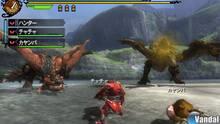 Imagen 131 de Monster Hunter 3 Ultimate