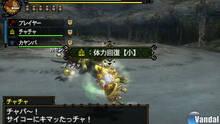 Imagen 133 de Monster Hunter 3 Ultimate