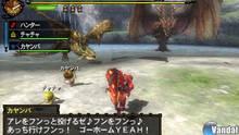 Imagen 135 de Monster Hunter 3 Ultimate