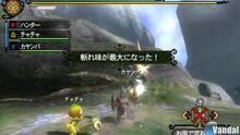 Imagen 139 de Monster Hunter 3 Ultimate