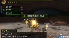 Imagen 141 de Monster Hunter 3 Ultimate