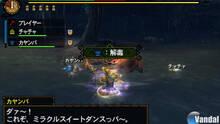 Imagen 144 de Monster Hunter 3 Ultimate