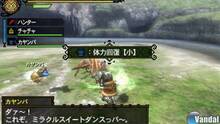 Imagen 145 de Monster Hunter 3 Ultimate