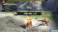 Imagen 120 de Monster Hunter 3 Ultimate