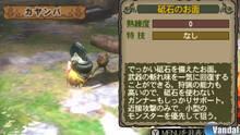 Imagen 124 de Monster Hunter 3 Ultimate