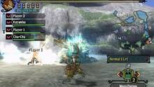 Imagen 178 de Monster Hunter 3 Ultimate