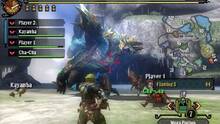 Imagen 176 de Monster Hunter 3 Ultimate