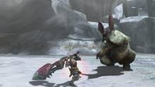 Imagen 216 de Monster Hunter 3 Ultimate