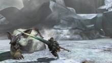 Imagen 220 de Monster Hunter 3 Ultimate