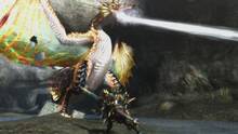 Imagen 238 de Monster Hunter 3 Ultimate