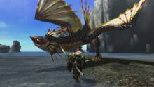 Imagen 241 de Monster Hunter 3 Ultimate