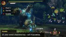 Imagen 260 de Monster Hunter 3 Ultimate