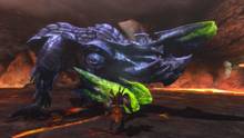 Imagen 286 de Monster Hunter 3 Ultimate