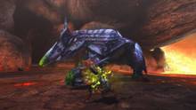 Imagen 290 de Monster Hunter 3 Ultimate