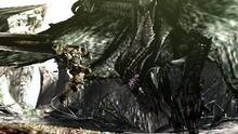 Imagen 95 de Monster Hunter 4