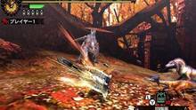 Imagen 105 de Monster Hunter 4