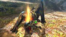 Imagen 48 de Monster Hunter 4