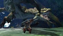 Imagen 118 de Monster Hunter 4