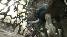 Imagen 142 de Monster Hunter 4