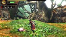 Imagen 162 de Monster Hunter 4