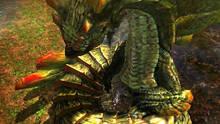 Imagen 150 de Monster Hunter 4