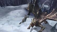 Imagen 172 de Monster Hunter 4