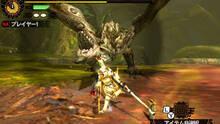Imagen 193 de Monster Hunter 4