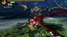 Imagen 194 de Monster Hunter 4