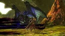 Imagen 214 de Monster Hunter 4