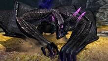 Imagen 219 de Monster Hunter 4