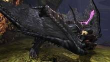 Imagen 220 de Monster Hunter 4