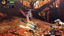 Imagen 239 de Monster Hunter 4