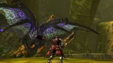 Imagen 208 de Monster Hunter 4