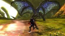 Imagen 209 de Monster Hunter 4