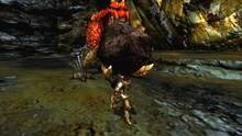 Imagen 247 de Monster Hunter 4