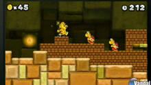 Imagen 6 de New Super Mario Bros. 2