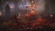 Imagen 127 de The Witcher 3: Wild Hunt