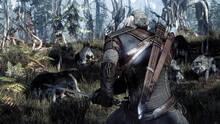 Imagen 129 de The Witcher 3: Wild Hunt