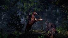 Imagen 136 de The Witcher 3: Wild Hunt